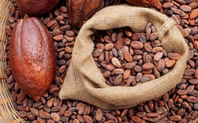 COCOA BEANS CARGO DESICCANT BAG